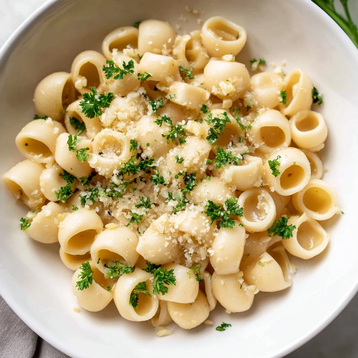 Close-up of a flavorful ditalini pasta, showcasing the creamy garlic sauce and perfectly cooked pasta.